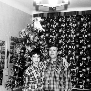 Two men posing indoors near decorated Christmas tree.