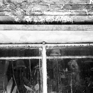 Dilapidated window with potted plants inside.
