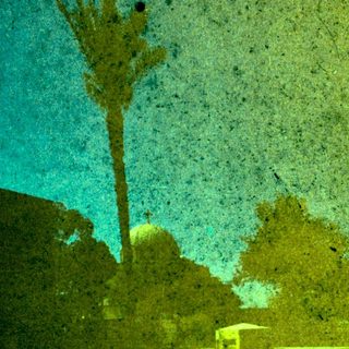 Reflection of sky, trees, and building in wet pavement.