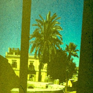 Sunlit view through window of palm trees and courtyard.