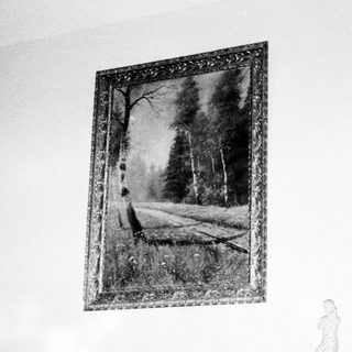 Black-and-white forest landscape framed on wall.
