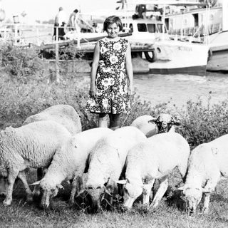 Girl standing with herd of sheep outdoors.