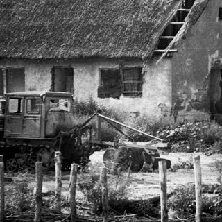 Rural farmhouse with thatched roof, stork nest, horse, and old cart.