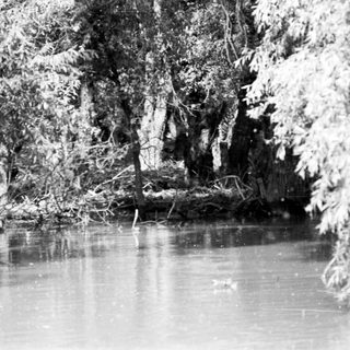 Frozen river surrounded by snow-laden trees.