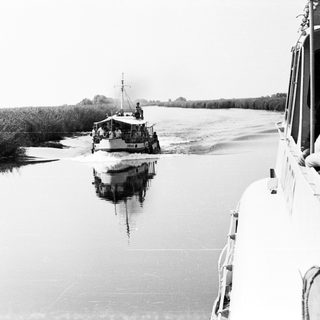 Boat navigating calm river with dense vegetation.