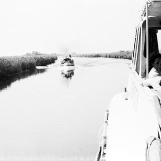 Boat traveling on wide river through dense vegetation.