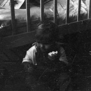 Two gorillas in an enclosed, dimly lit space.