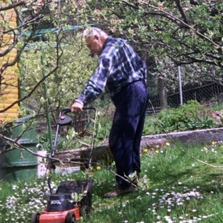 Man trimming trees with a trimmer.