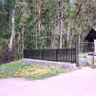 Rural house surrounded by forest with gated driveway.