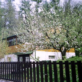 Charming house surrounded by blooming trees.