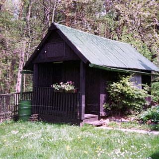 Rustic shed with green roof in wooded garden.
