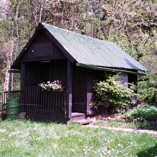 Rustic shed with green roof in wooded garden.