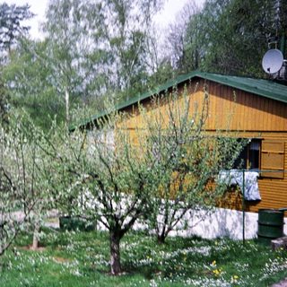 Rural garden with blooming trees, yellow house, and greenery.