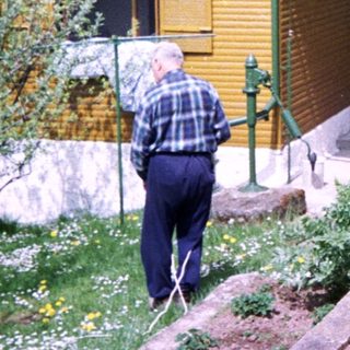 Small wooden house in rural garden area. Elderly person gardening.