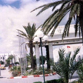 Urban street with palm trees, clear sky.