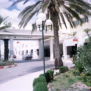 Elegant coastal entrance with palm trees, arches, and greenery.