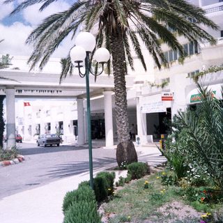 Elegant coastal entrance with palm trees, arches, and greenery.