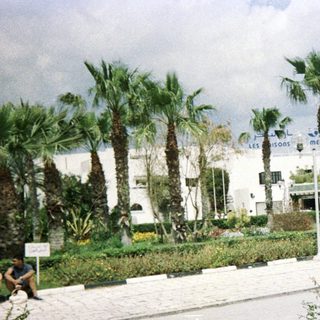 Mediterranean-style plaza with palm trees, white buildings, and people relaxing.