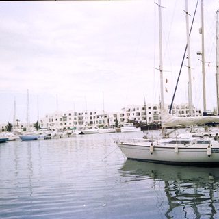 Marina with docked sailboats and waterfront buildings.