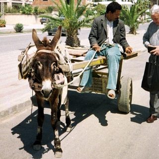 Man riding donkey cart in urban residential area.