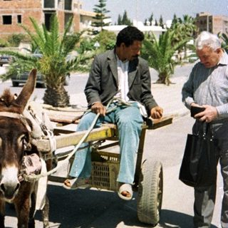 Man riding donkey cart in urban residential area.
