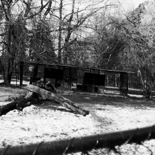 Snow-covered forest clearing with burned ruins.