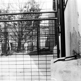 Barred enclosure with people and trees outside.