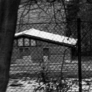 Winter landscape with bare trees and snow-covered ground.