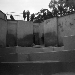 People observing a sunken memorial or memorial pool.
