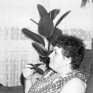 Woman resting on couch with plant beside her.