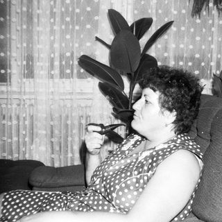 Woman reading book in vintage polka-dot dress.