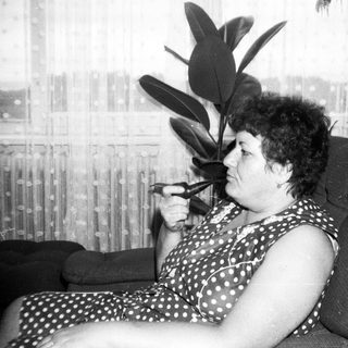 Woman reading book indoors near large leafy plant.