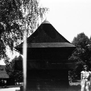 Traditional wooden temple in lush outdoor setting.