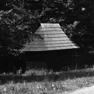 Small wooden hut in forested area with two people walking.