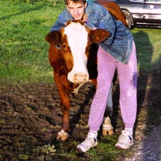 Rural scene with person hugging horse near parked cars.