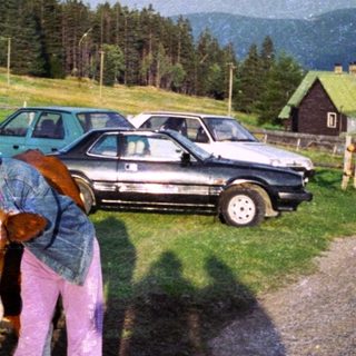 Rural scene with person hugging horse near parked cars.