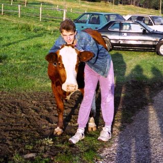Rural scene with person hugging horse near parked cars.
