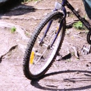 Young man posing with mountain bike near trail map.