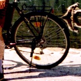 Person standing by lake with two bicycles.