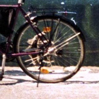 Person standing by lake with two bicycles.