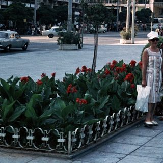 People walking in a city square with vintage cars and floral planters.
