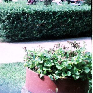 Person sitting alone on park bench.