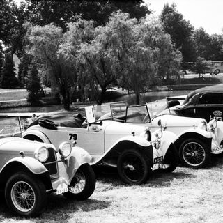 Classic vintage cars parked outdoors in grassy area.