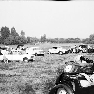 Vintage car gathering in open field.