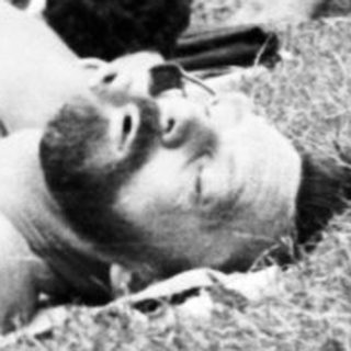 People relaxing and sunbathing outdoors in park.