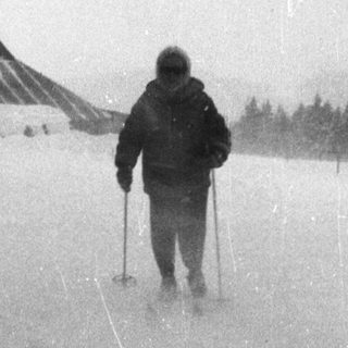 Person cross-country skiing in heavy snowfall.