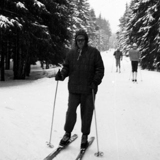 Classic cross-country skiing in snowy forest.