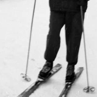 Classic cross-country skiing in snowy forest.