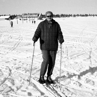 Person cross-country skiing in snowy landscape.