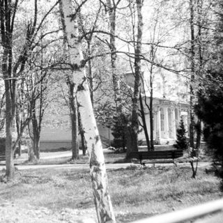Rustic park scene with birch trees and old building.